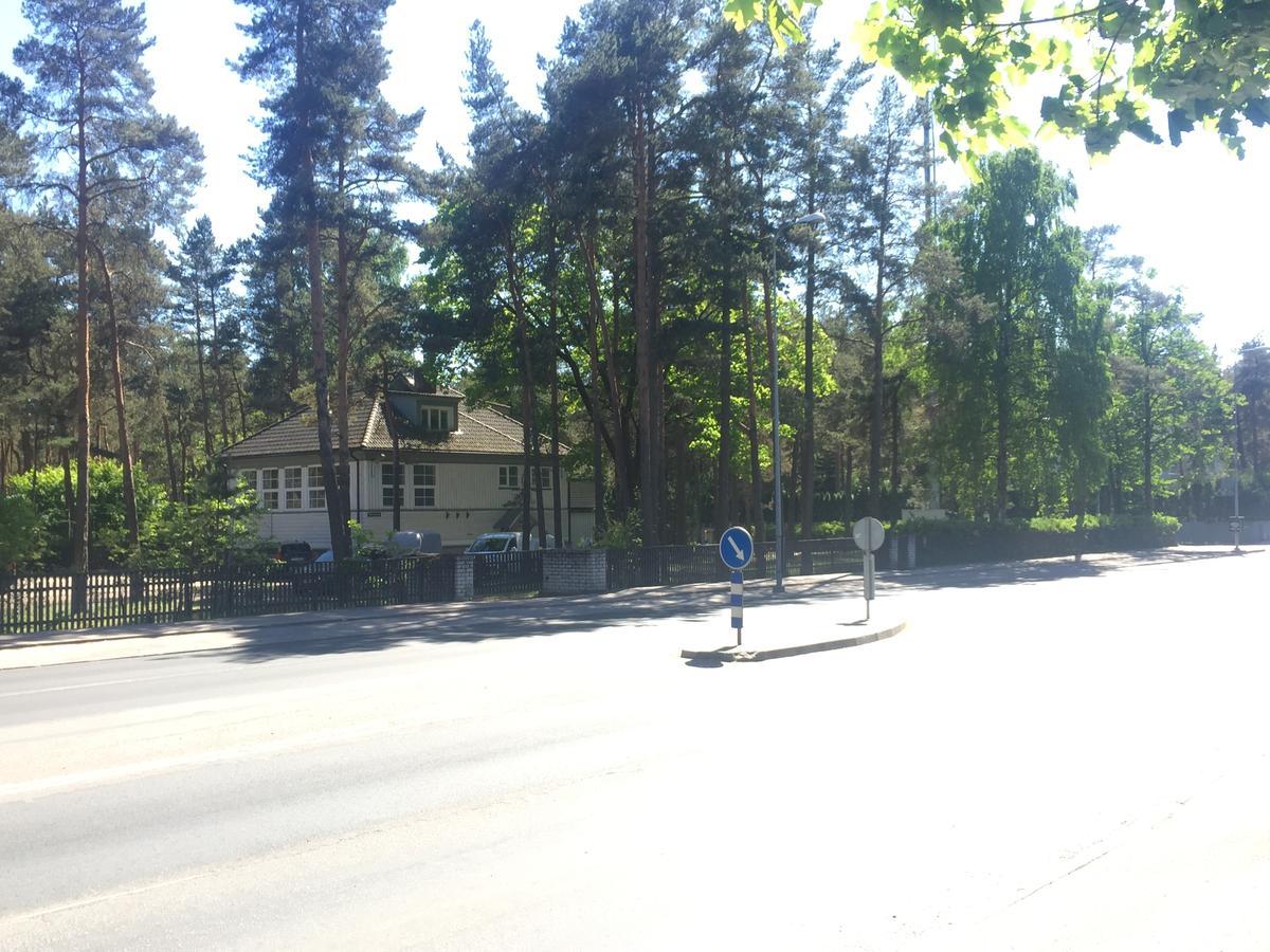 Freedom65 And Caravan Hostel *